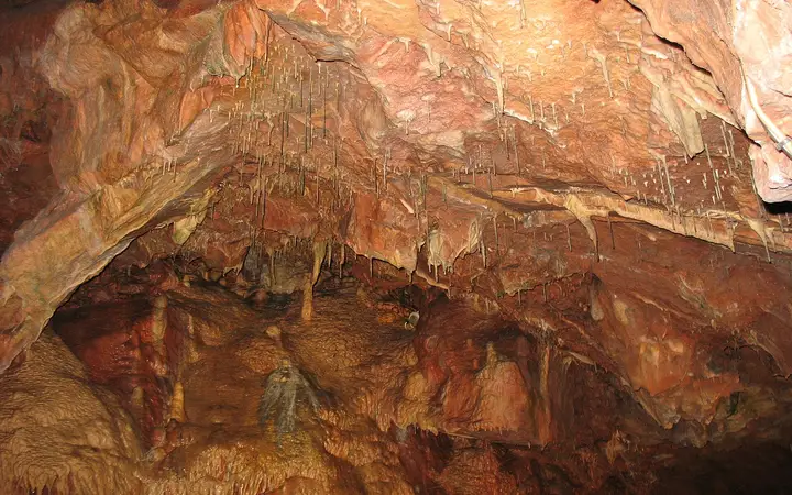 Cave ceiling at Kents Cavern