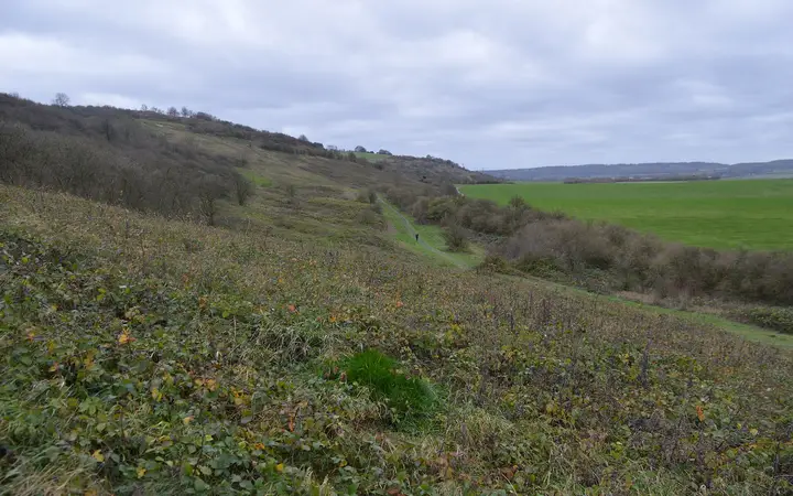 Rolling chalk grassland on Dunstable Downs