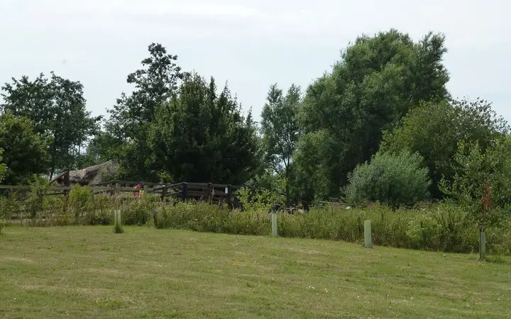 Reconstructed Bronze Age roundhouses at Flag Fen