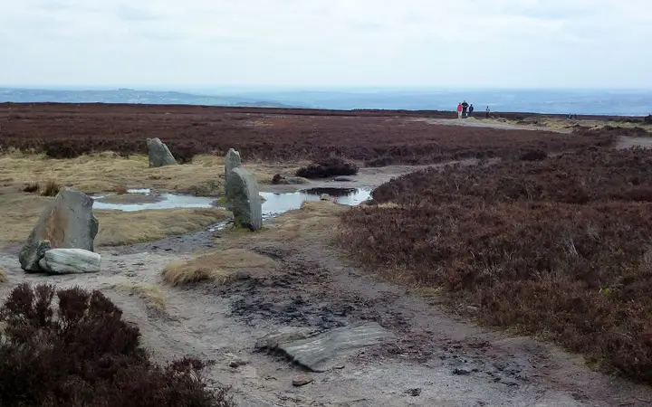 Low standing stones of the Twelve Apostles circle on open heather moorland above Ilkley