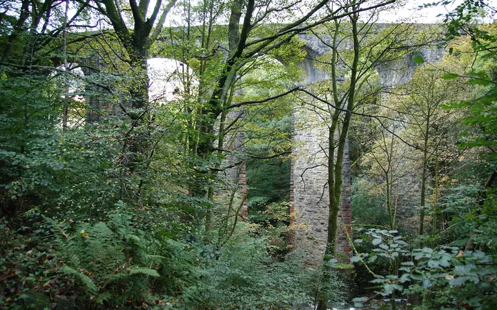 Healey Dell viaduct over a wooded gorge