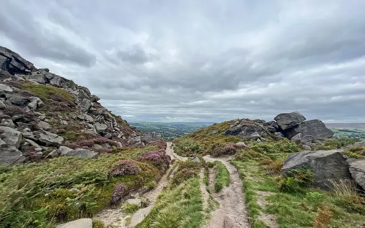 Heather and rocks on Ilkley Moor above Ilkley