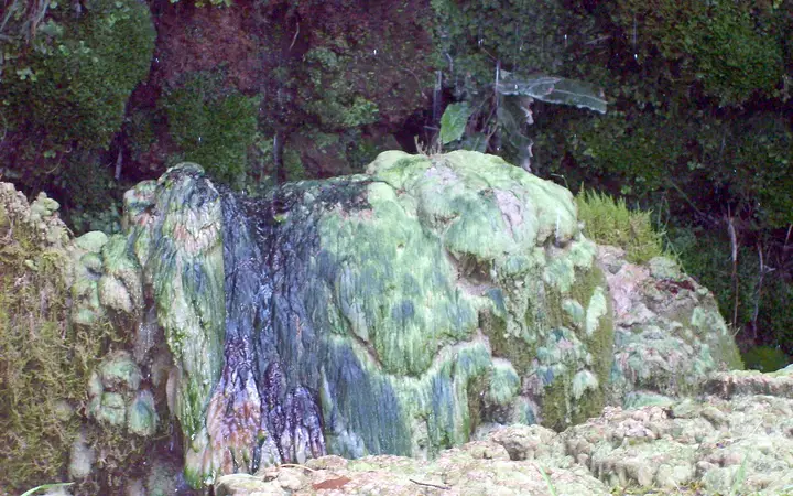 The Petrifying Well at Mother Shipton's Cave with objects turning to stone