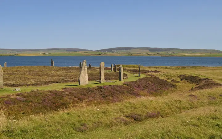 The wide Ring of Brodgar stone circle on heather between two lochs