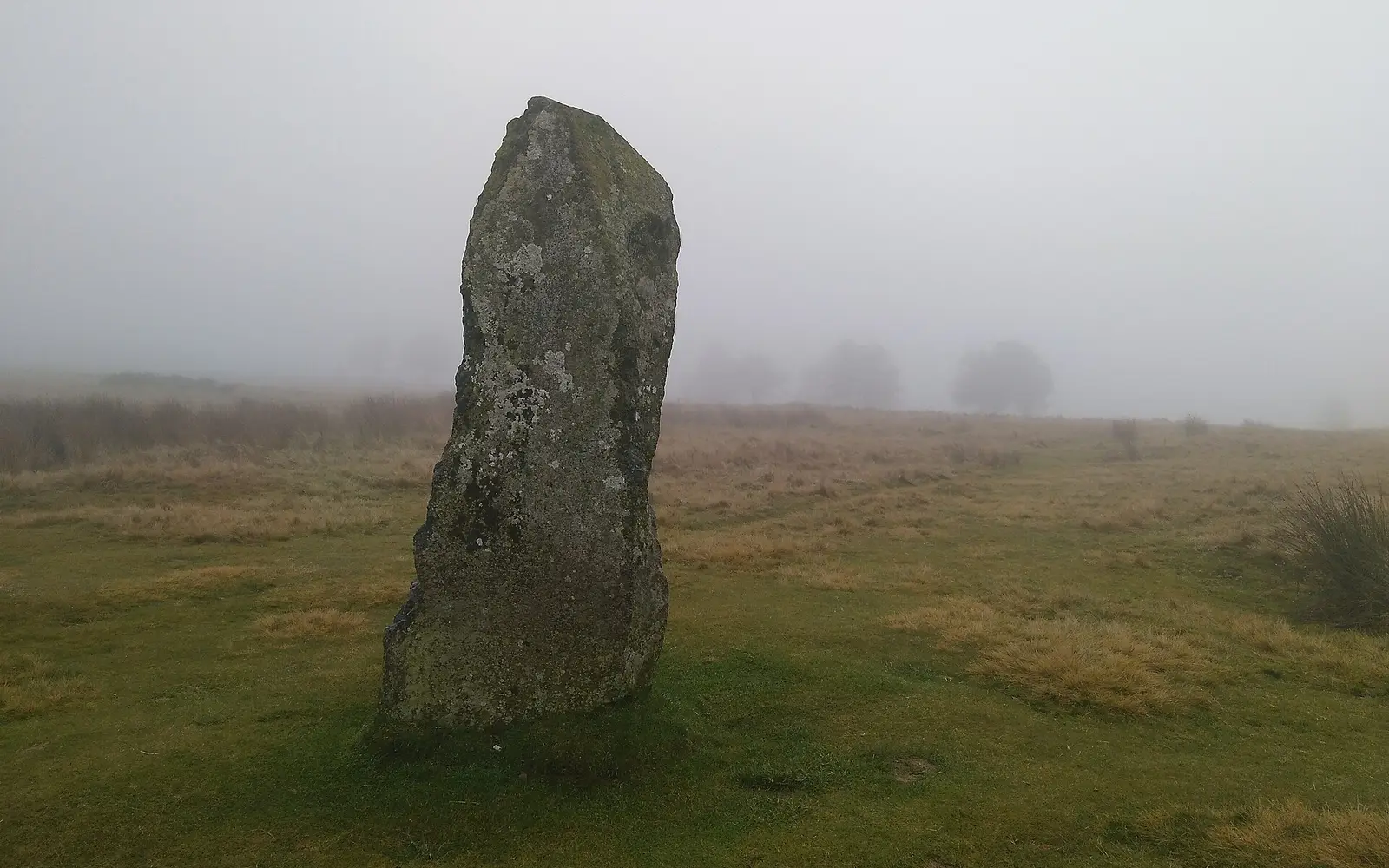 A standing stone at Mitchell's Fold circle on moorland