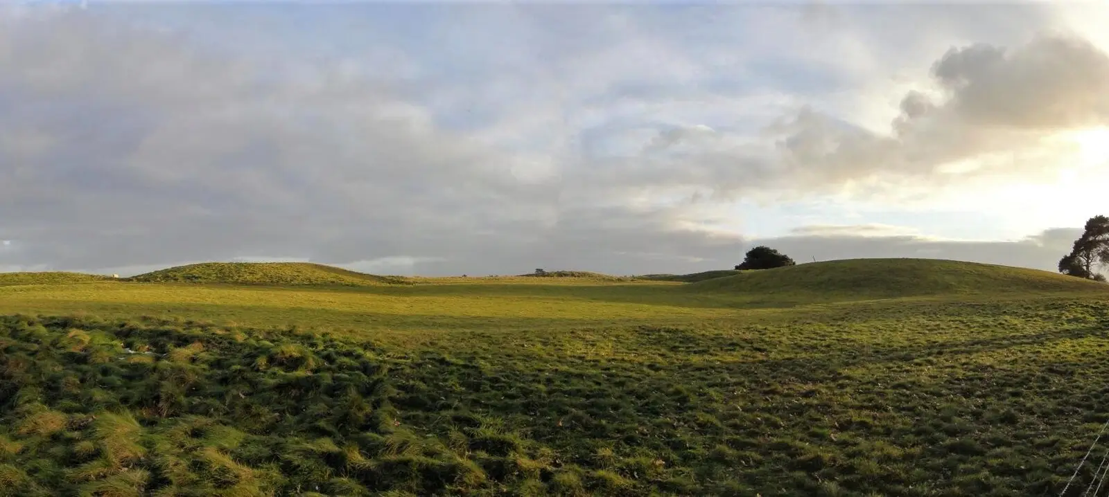 Grassy burial mounds at Sutton Hoo