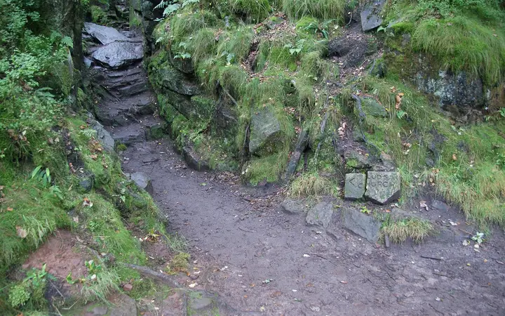 Mossy gorge of Lud's Church